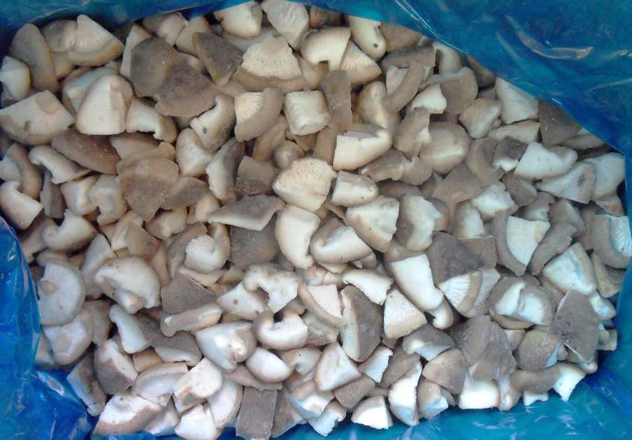 IQF SHIITAKE